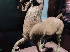 -广西壮族自治区博物馆