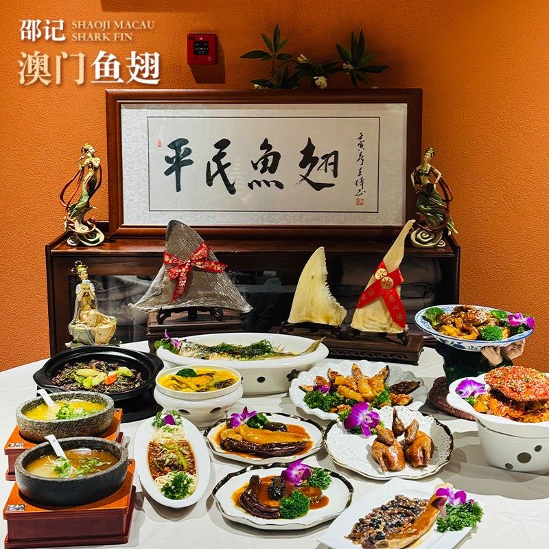 澳门鱼翅👑味蕾的奢华之旅🚀

听说这是一家开了几十年的老铺