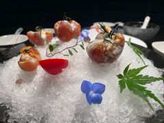 -凤凰湘语(浦东旗舰店)