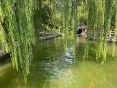 -济南大明湖景区