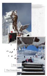 -大秃顶子山