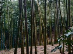 -陶祖圣境风景区