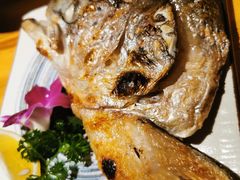 -酒井酱子·深夜食堂(东城汇店)