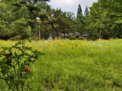 -日照海滨国家森林公园