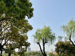 -黄兴公园