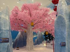 -长沙湘江欢乐雪域