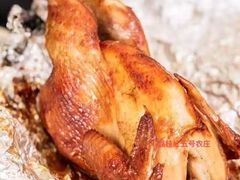 金牌荔枝木品荔香窑鸡-荔枝红五号农庄