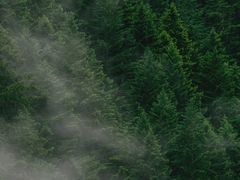 -豫楚源美猴王·面(武展店)