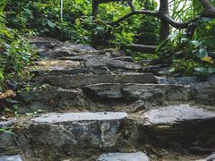 -梧桐山风景名胜区