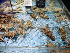 -徐记海鲜(大雁塔|金都店)
