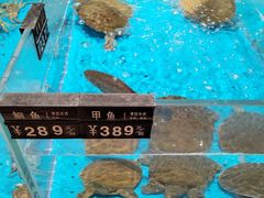 -艳阳天·非遗楚菜(武汉客厅店)
