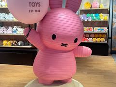 -DFS迪斐世(香港广东道店)