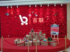 -沈阳百联购物中心(青年大街店)