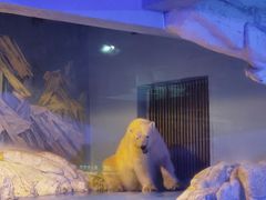 -蓬莱欧乐堡海洋极地世界
