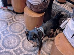 -RAC BAR(安福路店)