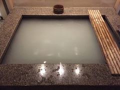 -台北北投丽禧温泉酒店