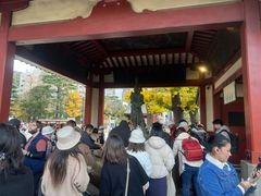 -浅草寺