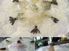 -明本湛江鸡•海鲜小厨(陈家祠店)