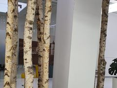 -极简口腔(总院)