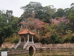 -郑和公园