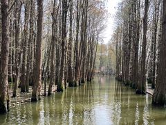 -尚湖风景区