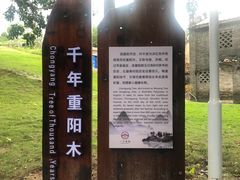 -蔡家宅