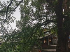 -楠溪江风景名胜区