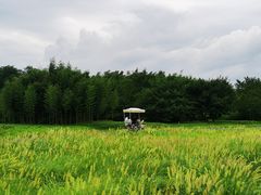 -良渚古城遗址公园