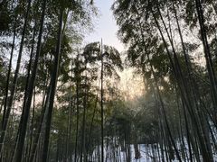 -莫干山风景区