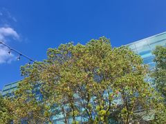 -CAMP.33露营烤肉·团建聚餐(创智天地店)