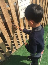 -萌宠亲子动物乐园(槐房万达店)