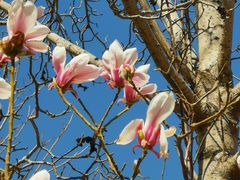 -亦庄创意生活广场