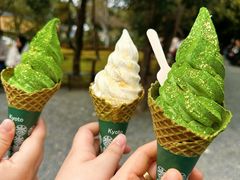 -豆政(金閣寺境内売店)