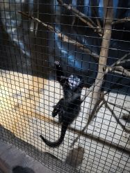 -酷嗒动物文化乐园(cutezoo西溪乐天城店)