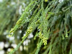 -东天目山风景区