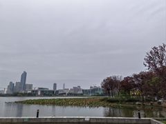 -月湖风景区
