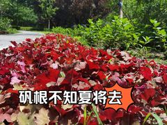 -古塔公园