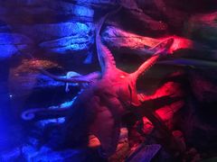 -沈阳海洋探索中心