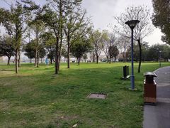 公园内-蠡湖大桥公园