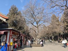 -大慈恩寺(大雁塔)