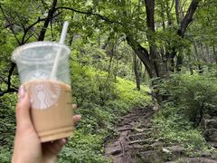 -王顺山国家森林公园