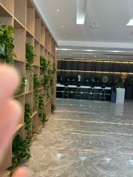 -碧莲盛·不剃发植发