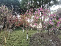 -乌山风景区
