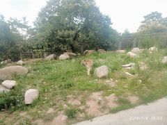 -西安秦岭野生动物园