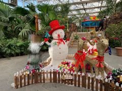 -南宫五洲植物乐园