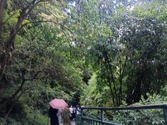 -黔灵山公园