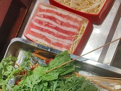 -钢管厂五区小郡肝火锅串串香(总店)
