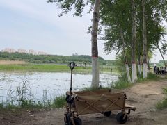 -哈尔滨大剧院