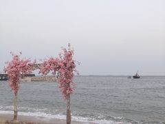 景点-北戴河碧螺塔海上酒吧公园