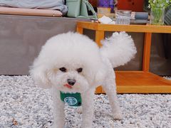 -稀物集咖啡(徽州大道店)